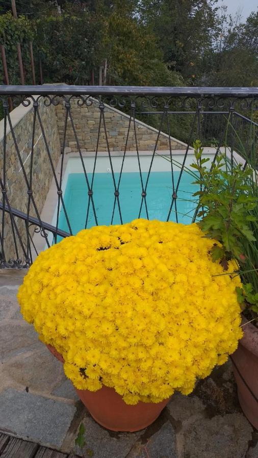 La Vigna Del Parroco Apartment Verduno Bagian luar foto